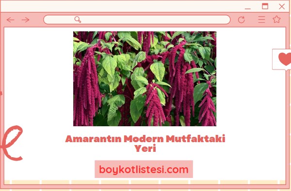 Amarantın Modern Mutfaktaki Yeri