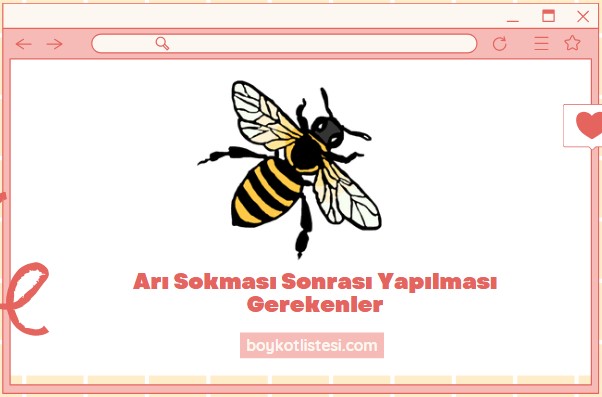 Arı Sokması Sonrası Yapılması Gerekenler