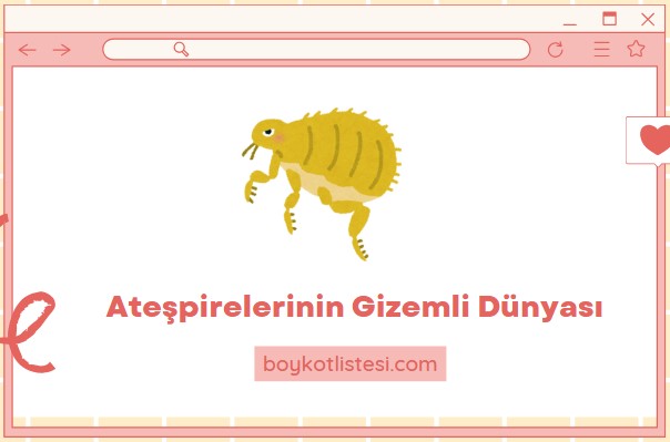 Ateşpirelerinin Gizemli Dünyası