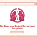 Sigaranın DNA Üzerindeki Yıkıcı Etkileri