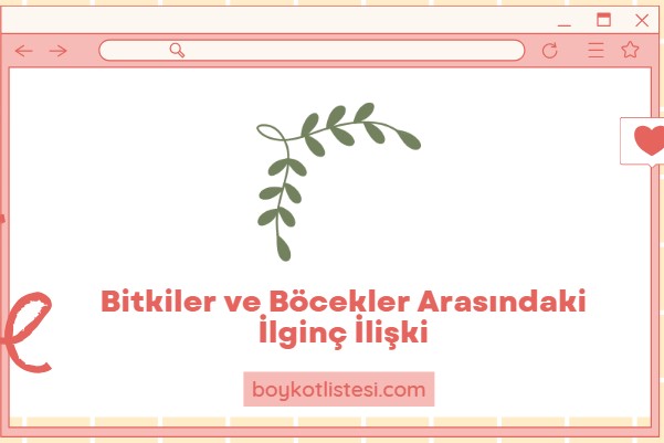 Bitkiler ve Böcekler Arasındaki İlginç İlişki