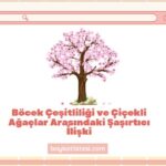 Böcek Çeşitliliği ve Çiçekli Ağaçlar Arasındaki Şaşırtıcı İlişki