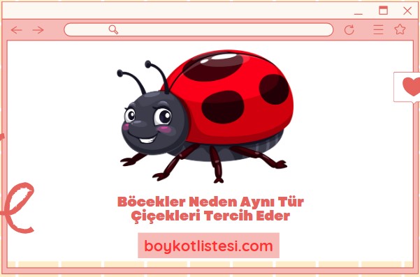 Böcekler Neden Aynı Tür Çiçekleri Tercih Eder