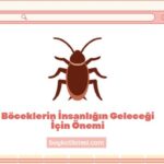 Böceklerin İnsanlığın Geleceği İçin Önemi