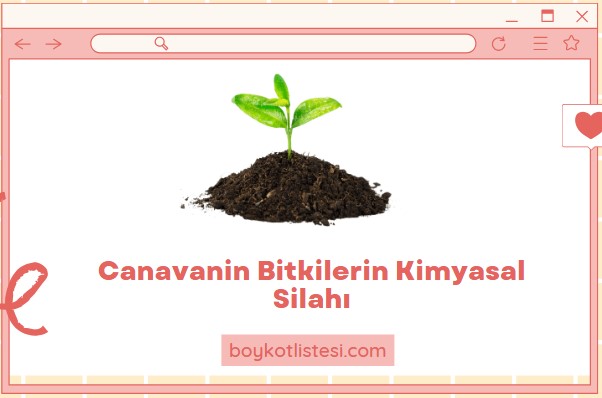 Canavanin Bitkilerin Kimyasal Silahı