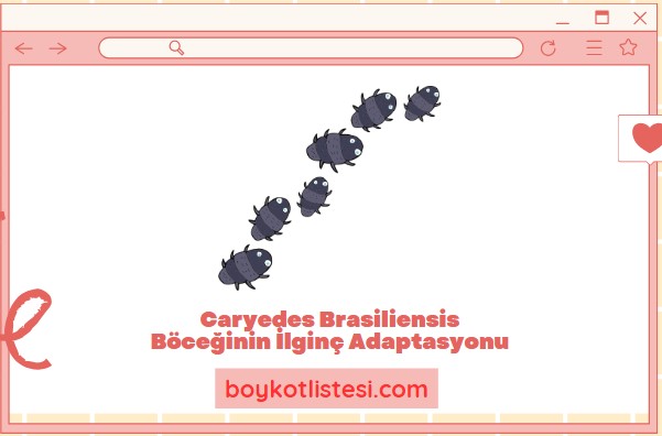 Caryedes Brasiliensis Böceğinin İlginç Adaptasyonu