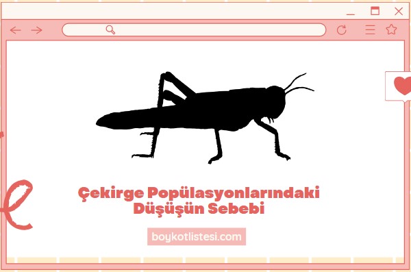 Çekirge Popülasyonlarındaki Düşüşün Sebebi