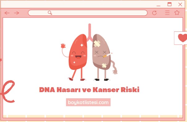 DNA Hasarı ve Kanser Riski