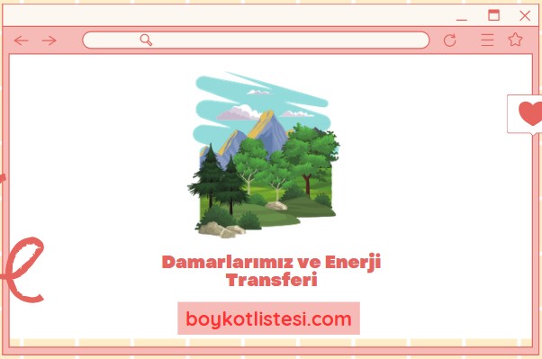 Damarlarımız ve Enerji Transferi