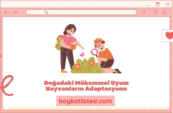 Doğadaki Mükemmel Uyum Hayvanların Adaptasyonu