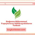 Doğanın Mükemmel Yapıştırıcısı Sülükayaklıların Tutkalı