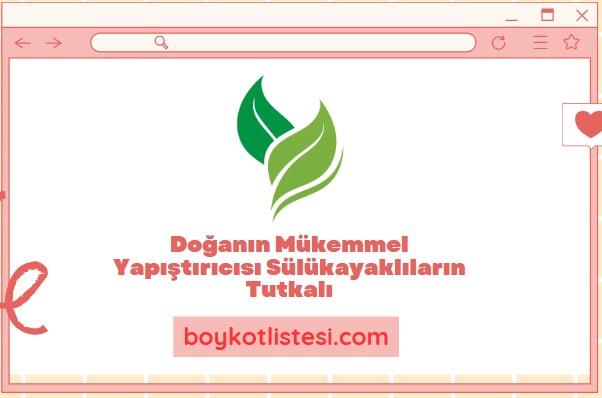 Doğanın Mükemmel Yapıştırıcısı Sülükayaklıların Tutkalı