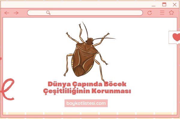 Dünya Çapında Böcek Çeşitliliğinin Korunması