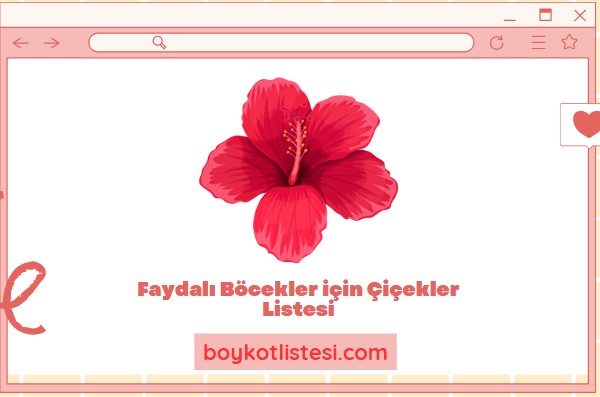 Faydalı Böcekler için Çiçekler Listesi