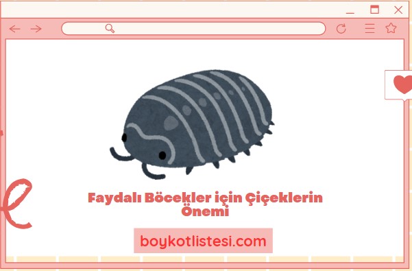 Faydalı Böcekler için Çiçeklerin Önemi