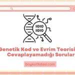 Genetik Kod ve Evrim Teorisinin Cevaplayamadığı Sorular