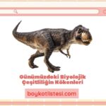 Günümüzdeki Biyolojik Çeşitliliğin Kökenleri