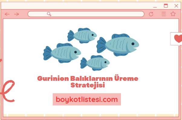 Gurinion Balıklarının Üreme Stratejisi