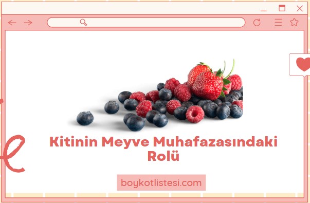 Kitinin Meyve Muhafazasındaki Rolü