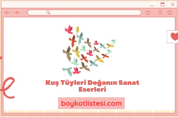 Kuş Tüyleri Doğanın Sanat Eserleri