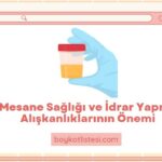 Mesane Sağlığı ve İdrar Yapma Alışkanlıklarının Önemi