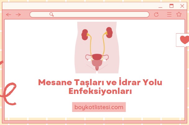 Mesane Taşları ve İdrar Yolu Enfeksiyonları