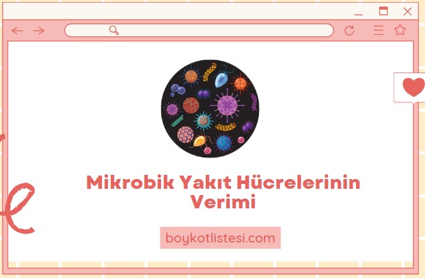 Mikrobik Yakıt Hücrelerinin Verimi