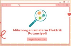 Mikroorganizmaların Elektrik Potansiyeli 1