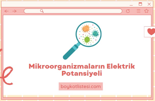 Mikroorganizmaların Elektrik Potansiyeli