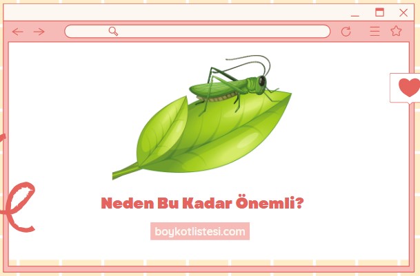 Neden Bu Kadar Önemli