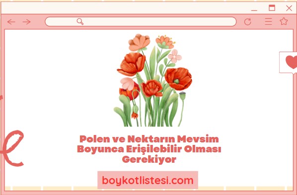 Polen ve Nektarın Mevsim Boyunca Erişilebilir Olması Gerekiyor