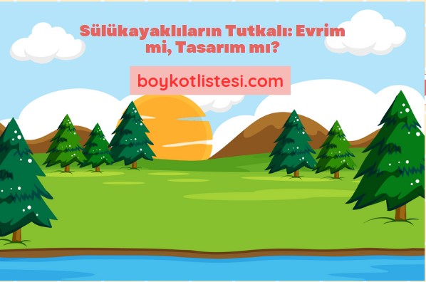 Sülükayaklıların Tutkalı: Evrim mi, Tasarım mı?