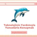 Teknolojinin Yardımıyla Yunuslarla Konuşmak